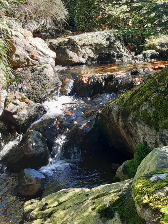 Anno - Wohlfuehlen Am Bachal In Altschoenau Neuschönau Exteriér fotografie