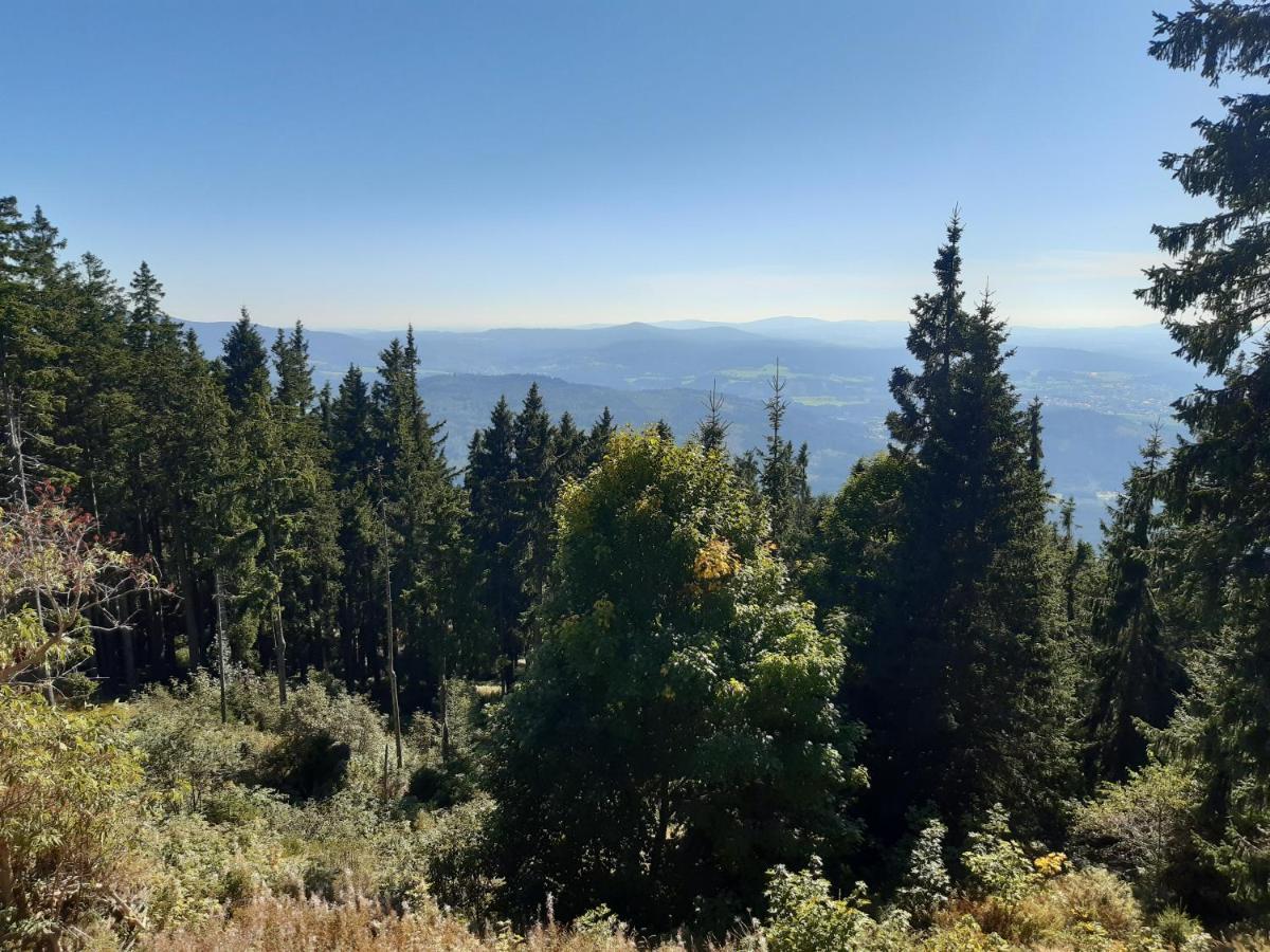 Anno - Wohlfuehlen Am Bachal In Altschoenau Neuschönau Exteriér fotografie