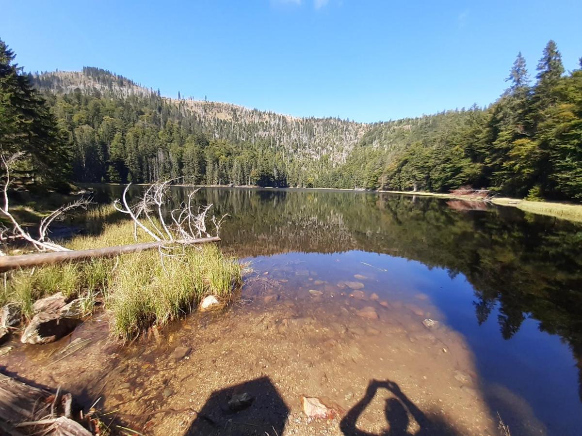 Anno - Wohlfuehlen Am Bachal In Altschoenau Neuschönau Exteriér fotografie