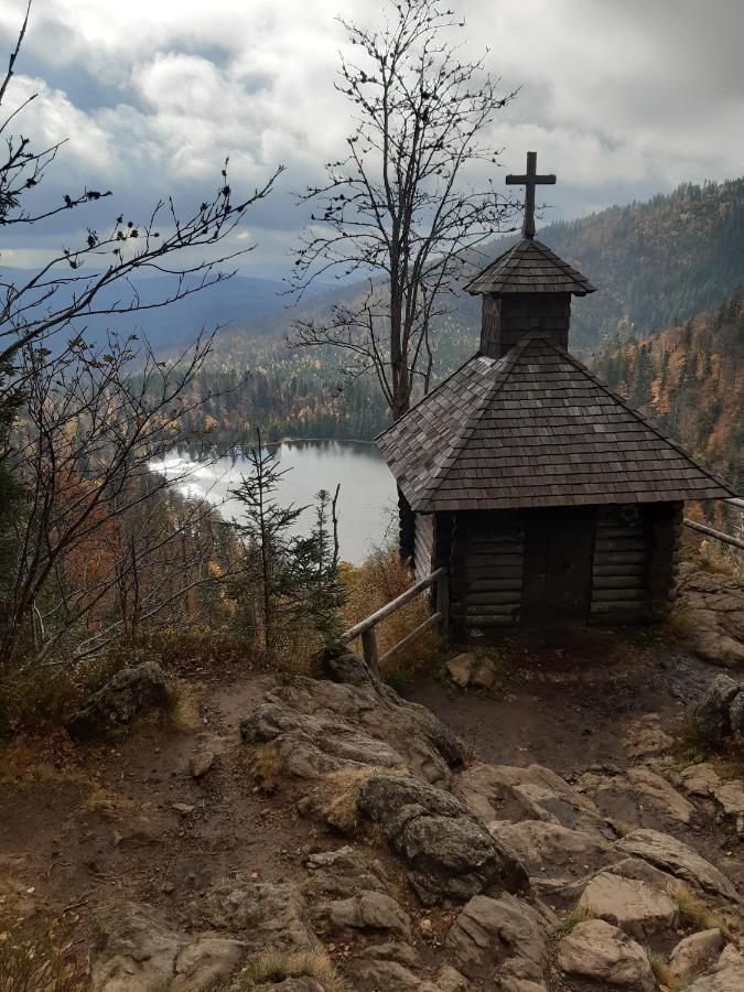 Anno - Wohlfuehlen Am Bachal In Altschoenau Neuschönau Exteriér fotografie