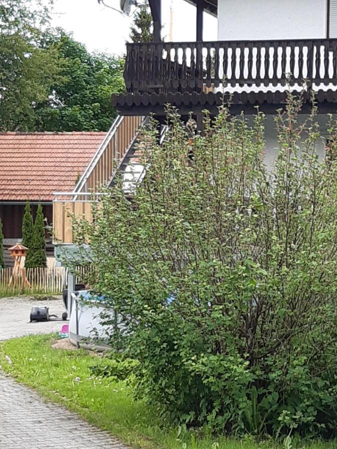 Anno - Wohlfuehlen Am Bachal In Altschoenau Neuschönau Exteriér fotografie