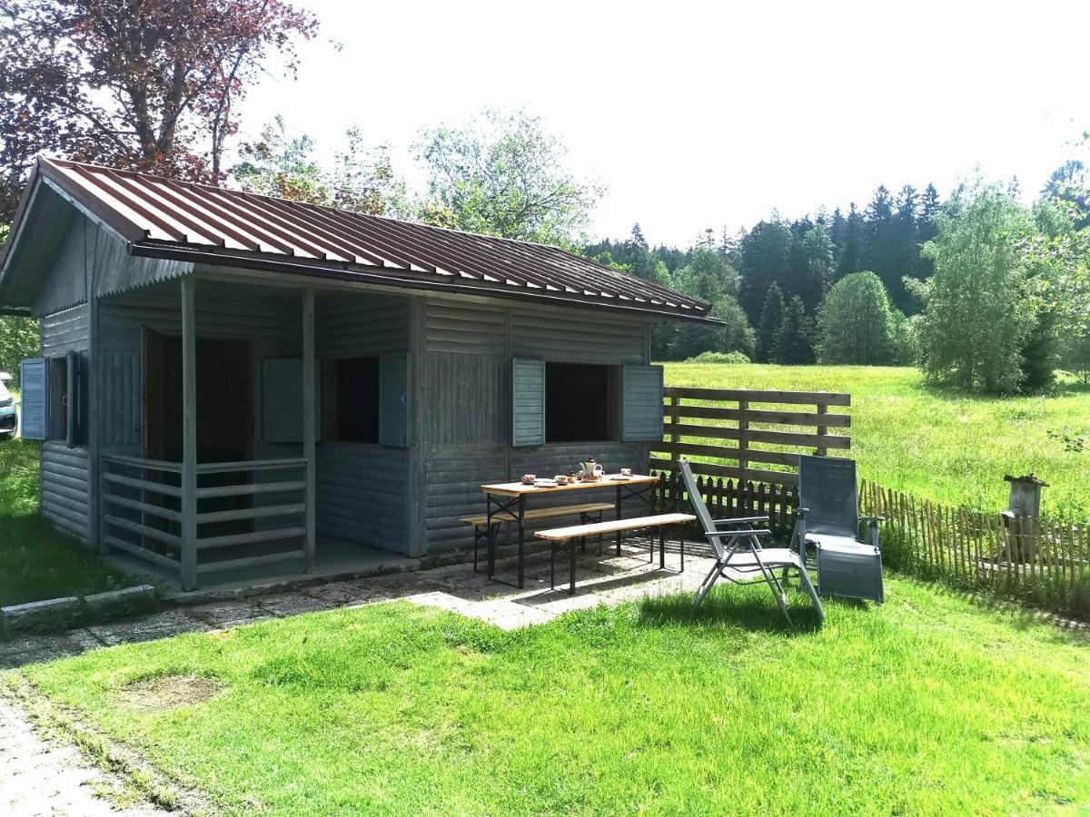 Anno - Wohlfuehlen Am Bachal In Altschoenau Neuschönau Exteriér fotografie