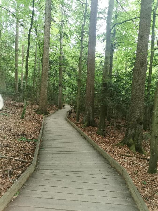 Anno - Wohlfuehlen Am Bachal In Altschoenau Neuschönau Exteriér fotografie